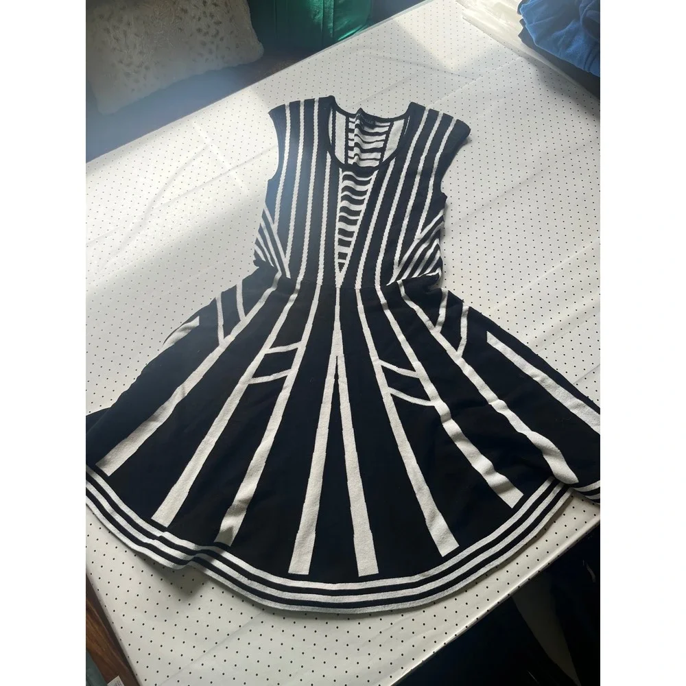 Womens Black White Striped Sweater Knit Geometric Knit Fit & Flare Dress Medium